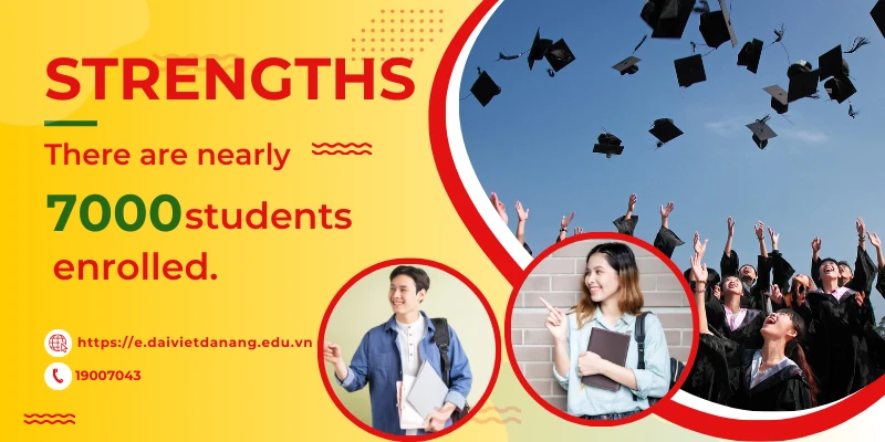 Strengths of Dai Viet Da Nang College